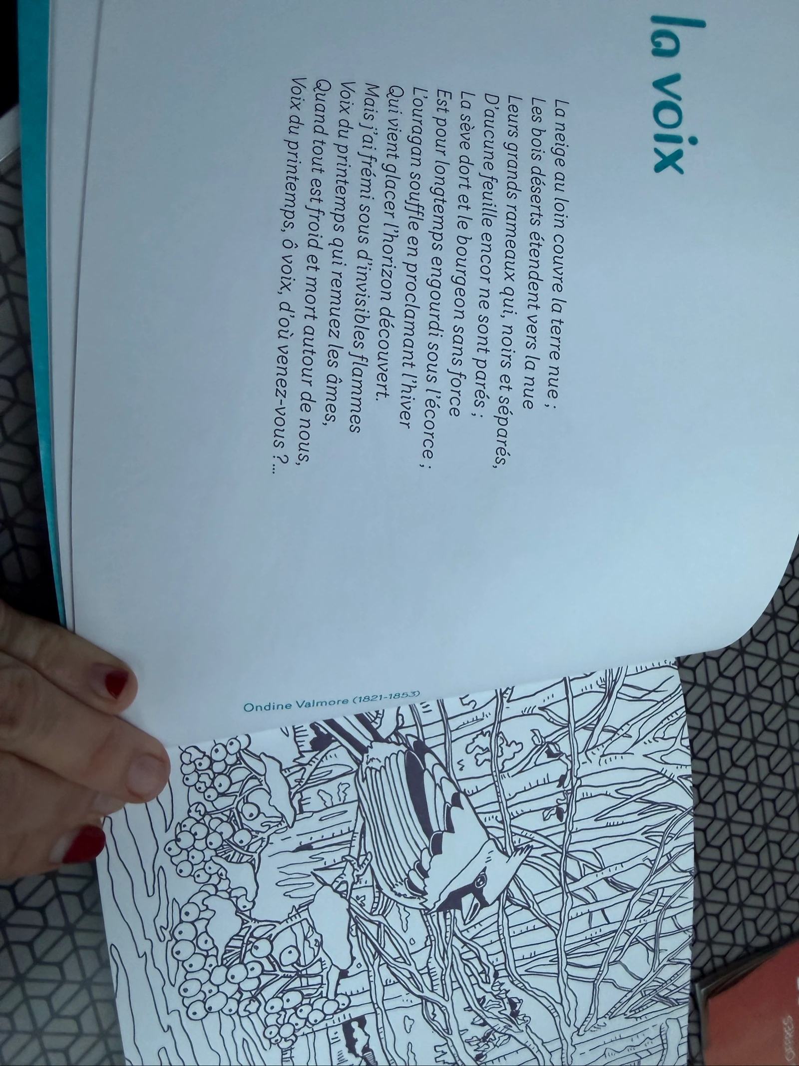 Poesía terapia  45 poemas + 45 colorear RÊVERIES – photo 5